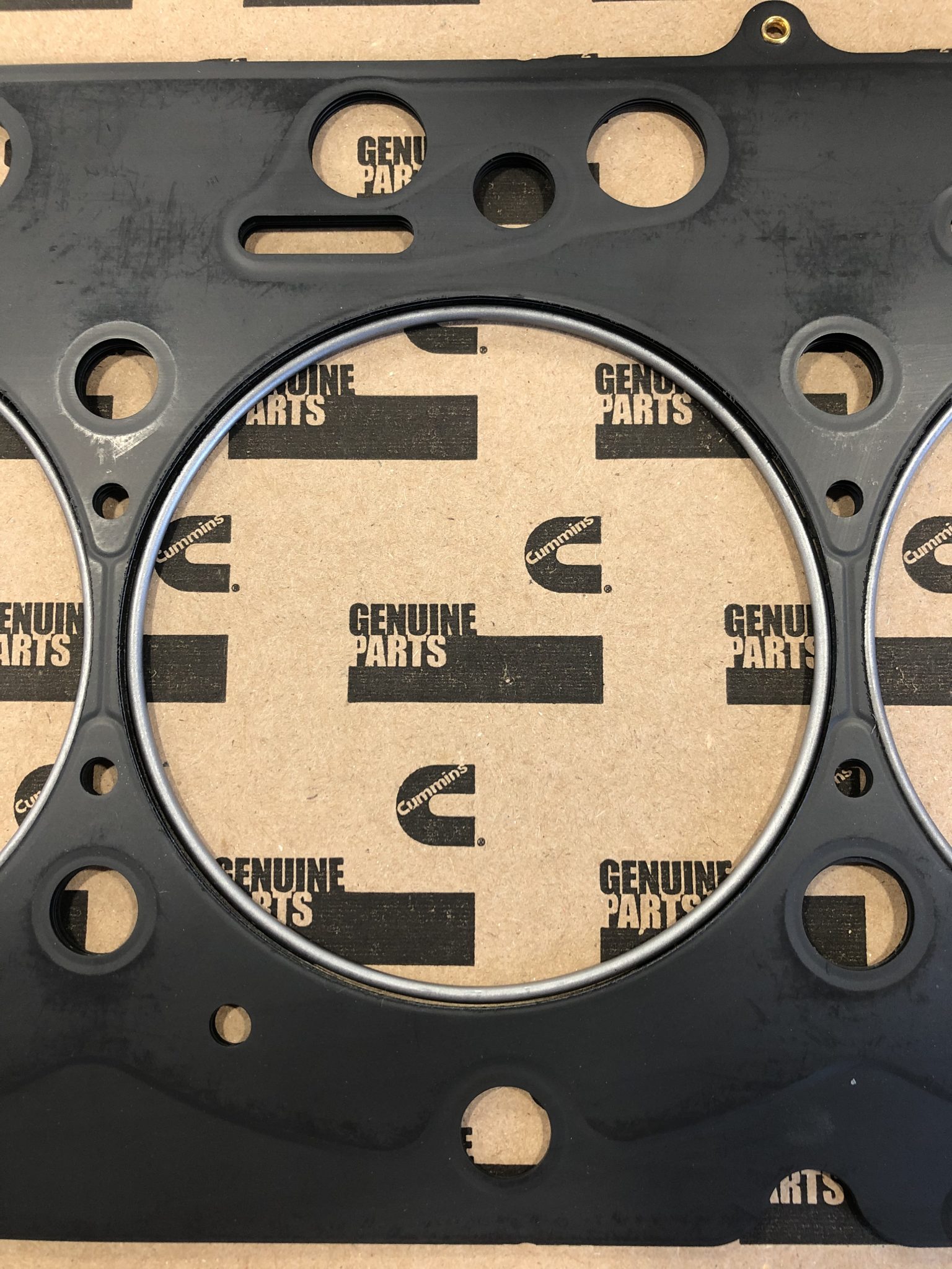 FIRE RING GASKET, 6.7, 2019 & UP Haisley Machine